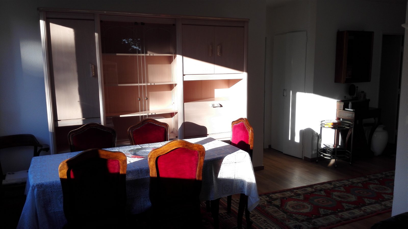 Colocación Ferney-Voltaire 213348