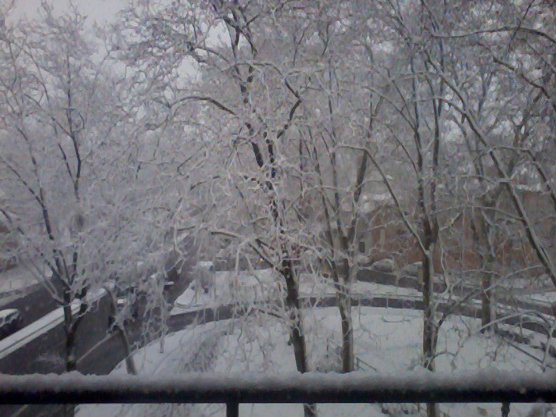 Quedarse En Casa Toulouse 120929