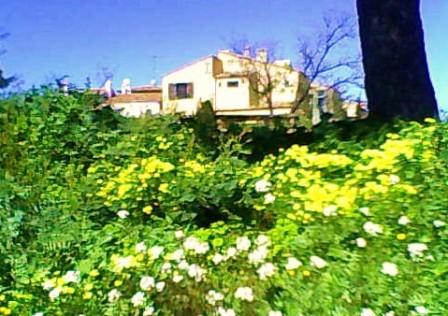 Quedarse En Casa Cannes 658133