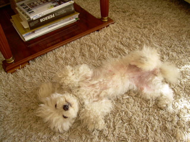 Quedarse En Casa Palma-de-Mallorca 32426-5