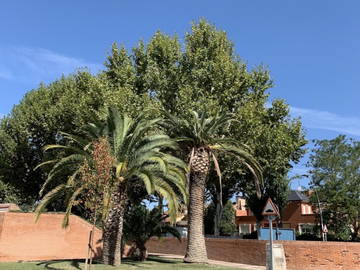 Habitación en casa del anfitrión en alquiler en Talavera De La Reina - foto 2: otra estancia-2