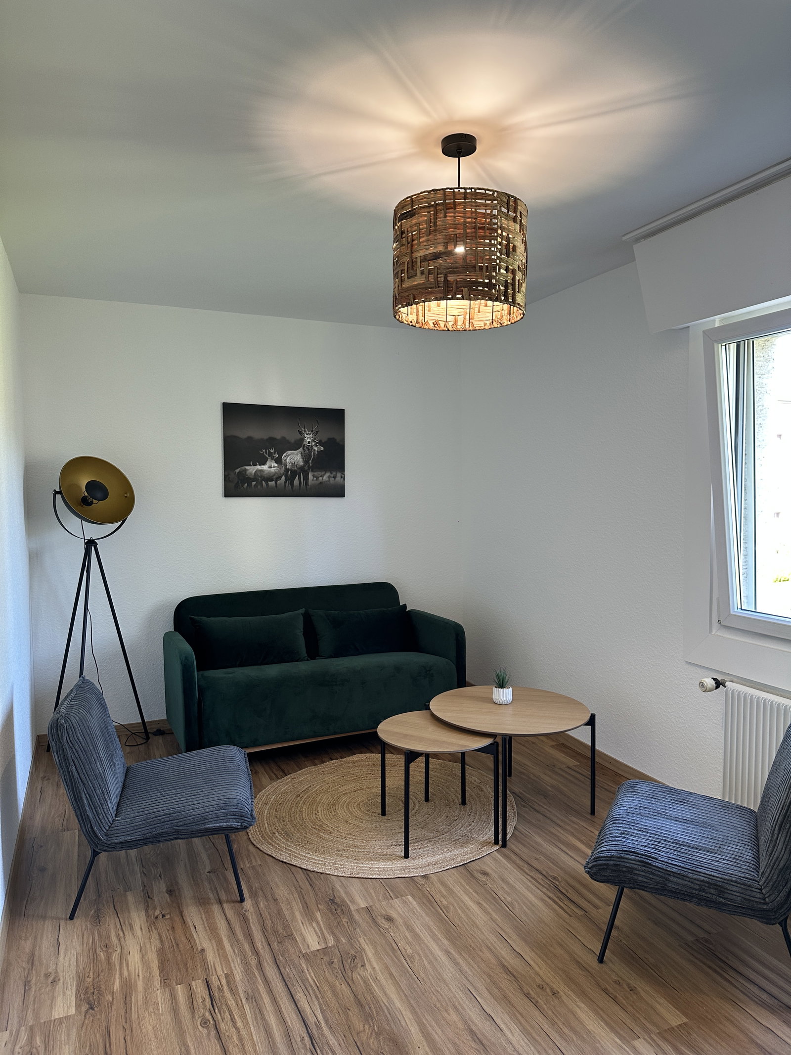 Coliving Bulle 671087