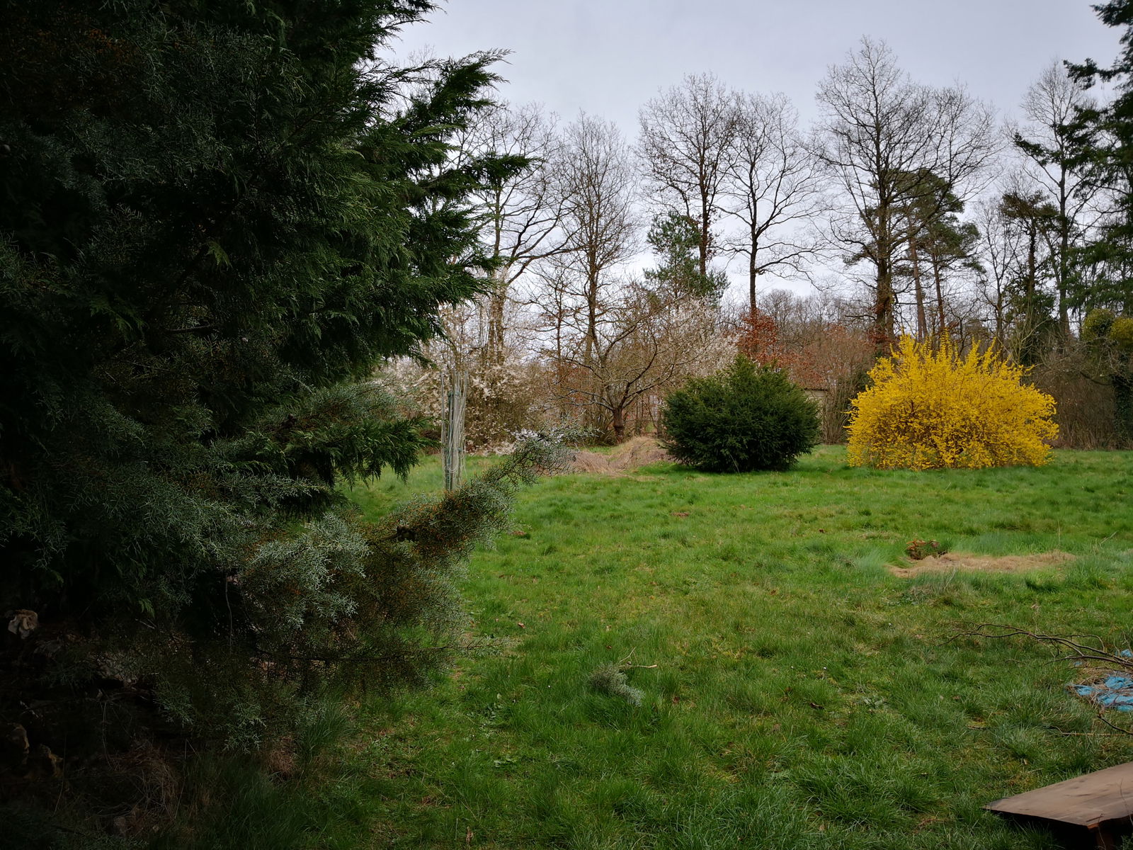 Quedarse En Casa Nagel-Séez-Mesnil 234475