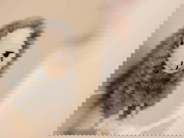 Chambre Chez L'habitant Bilbao 660374-21