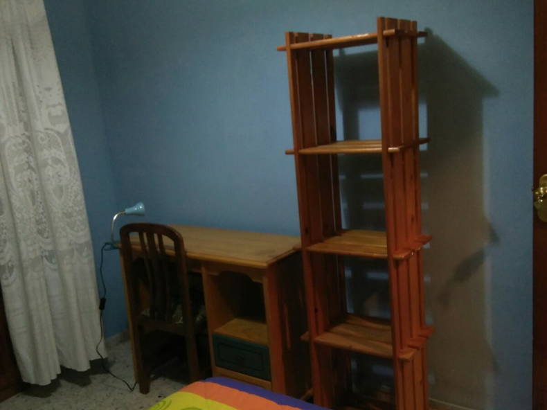 Kolokasie Granada 162534-4