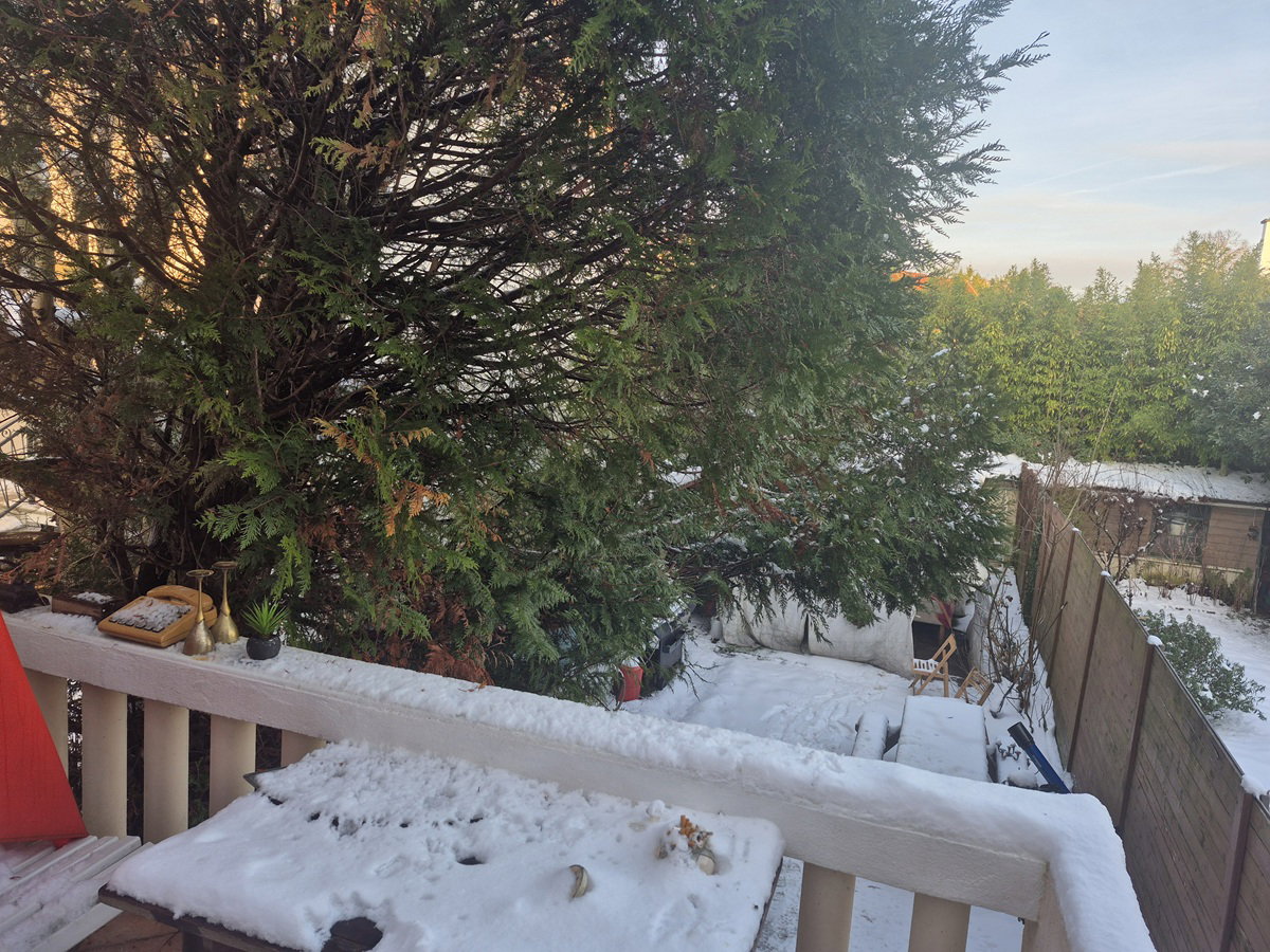 Colocación Versailles 492001