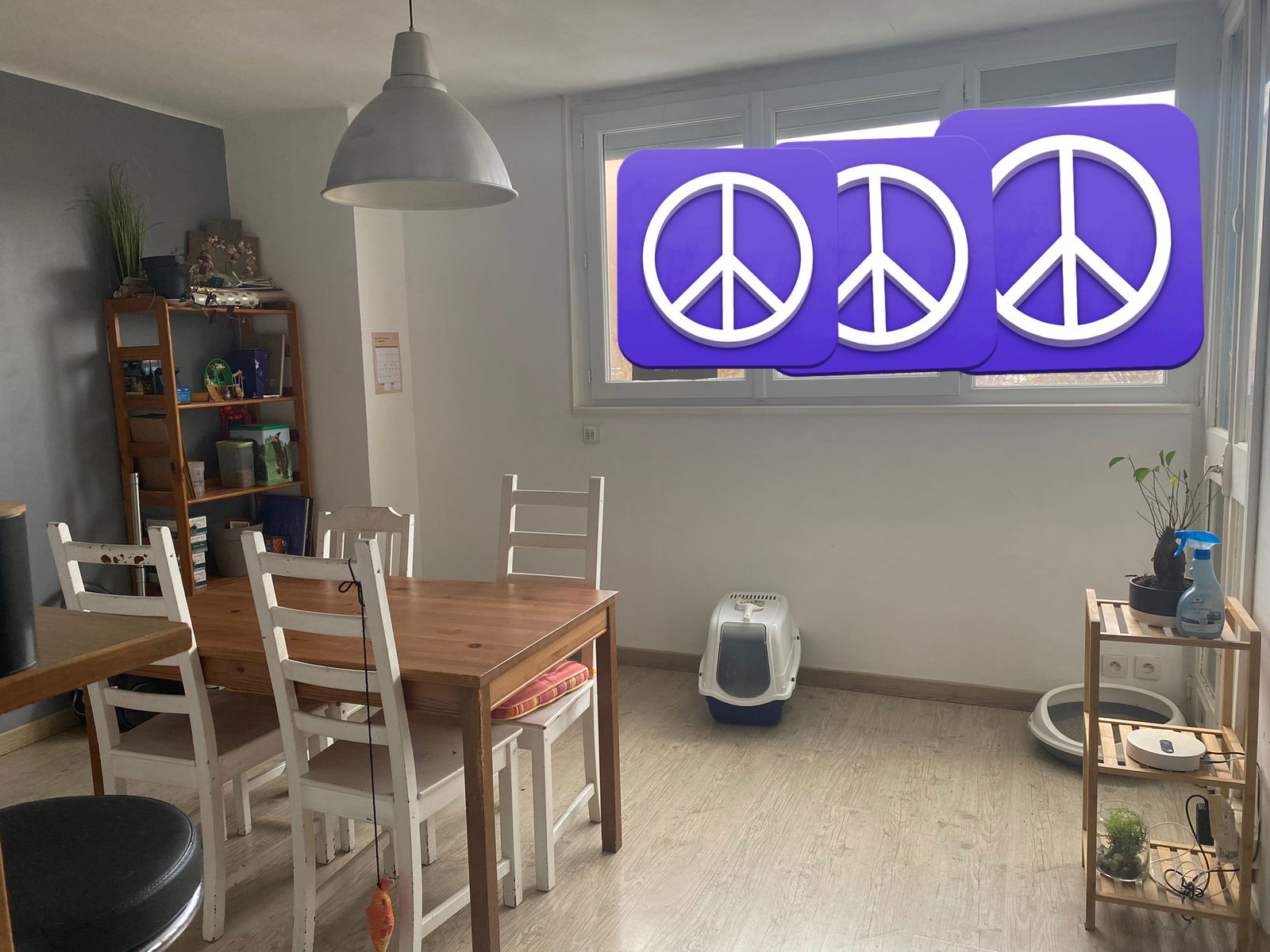 Colocación Toulouse 647964