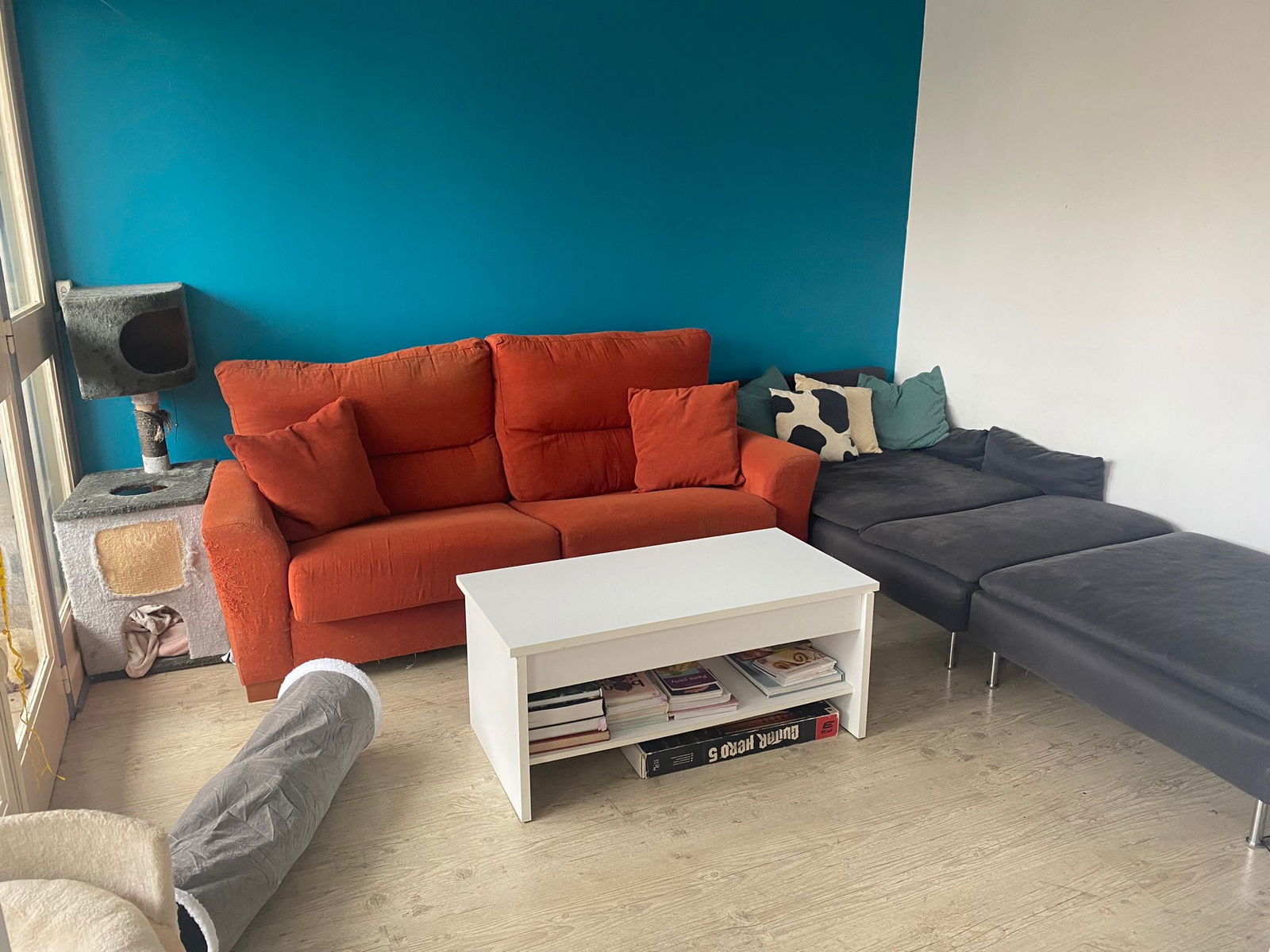 Colocación Toulouse 647964