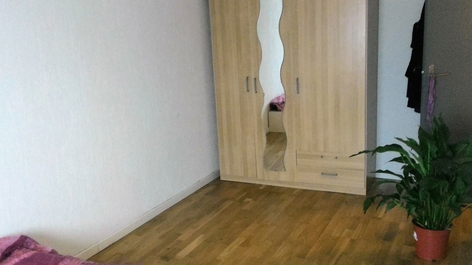Colocación Sevran 126285