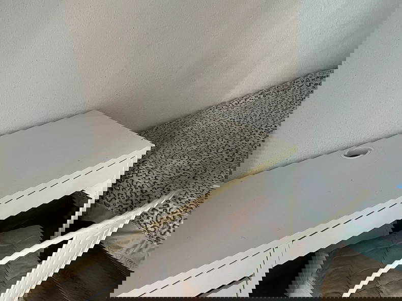 Quedarse En Casa Alicante (Alacant) 438492-1