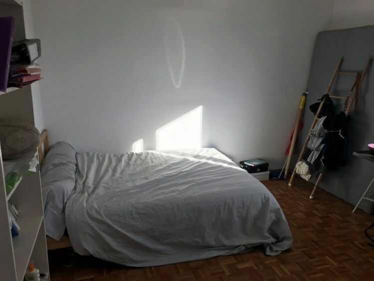 Colocación Renens 245823