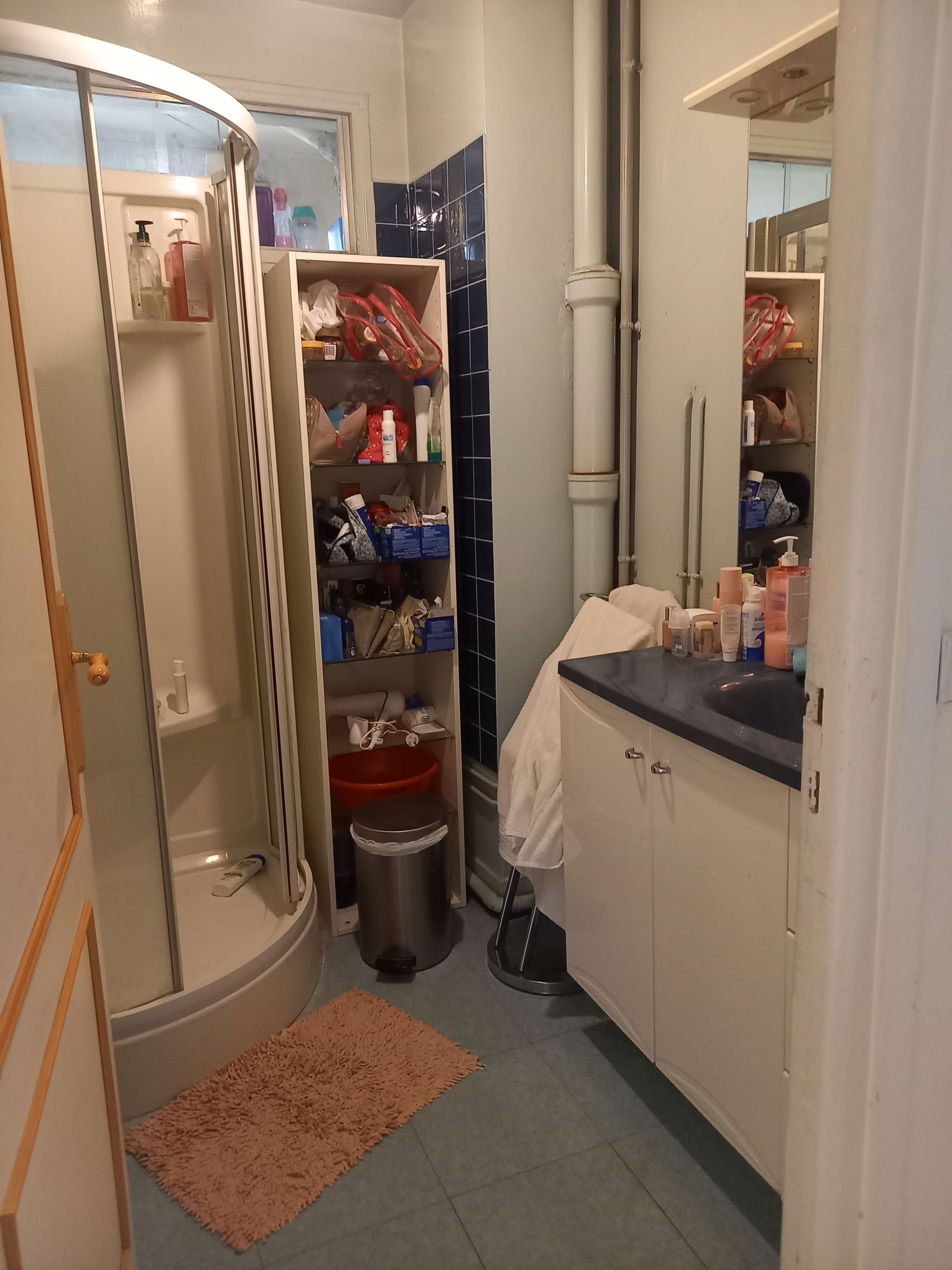 Colocación Villejuif 253485