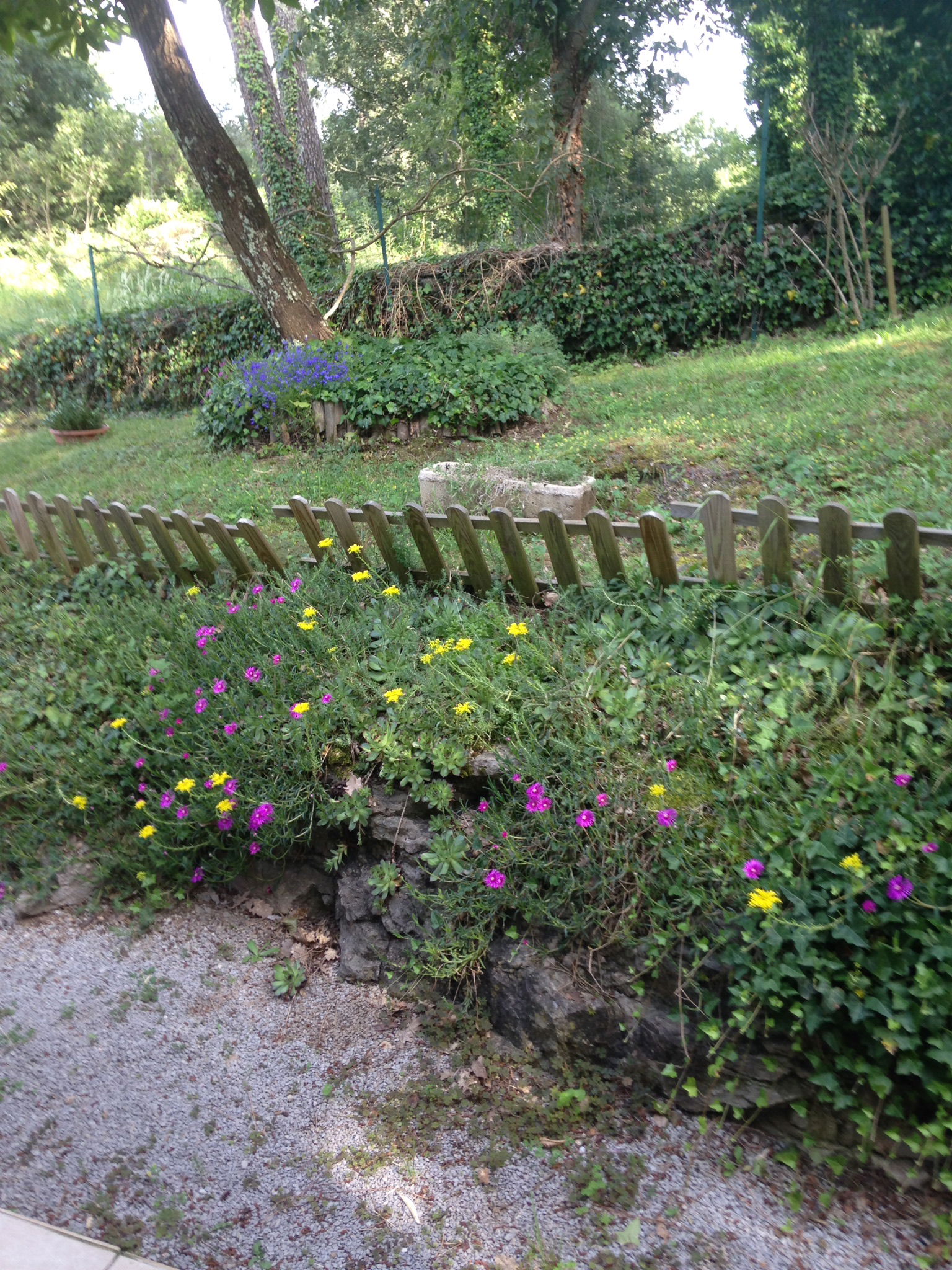 Quedarse En Casa Saint-Étienne-de-Fontbellon 268495