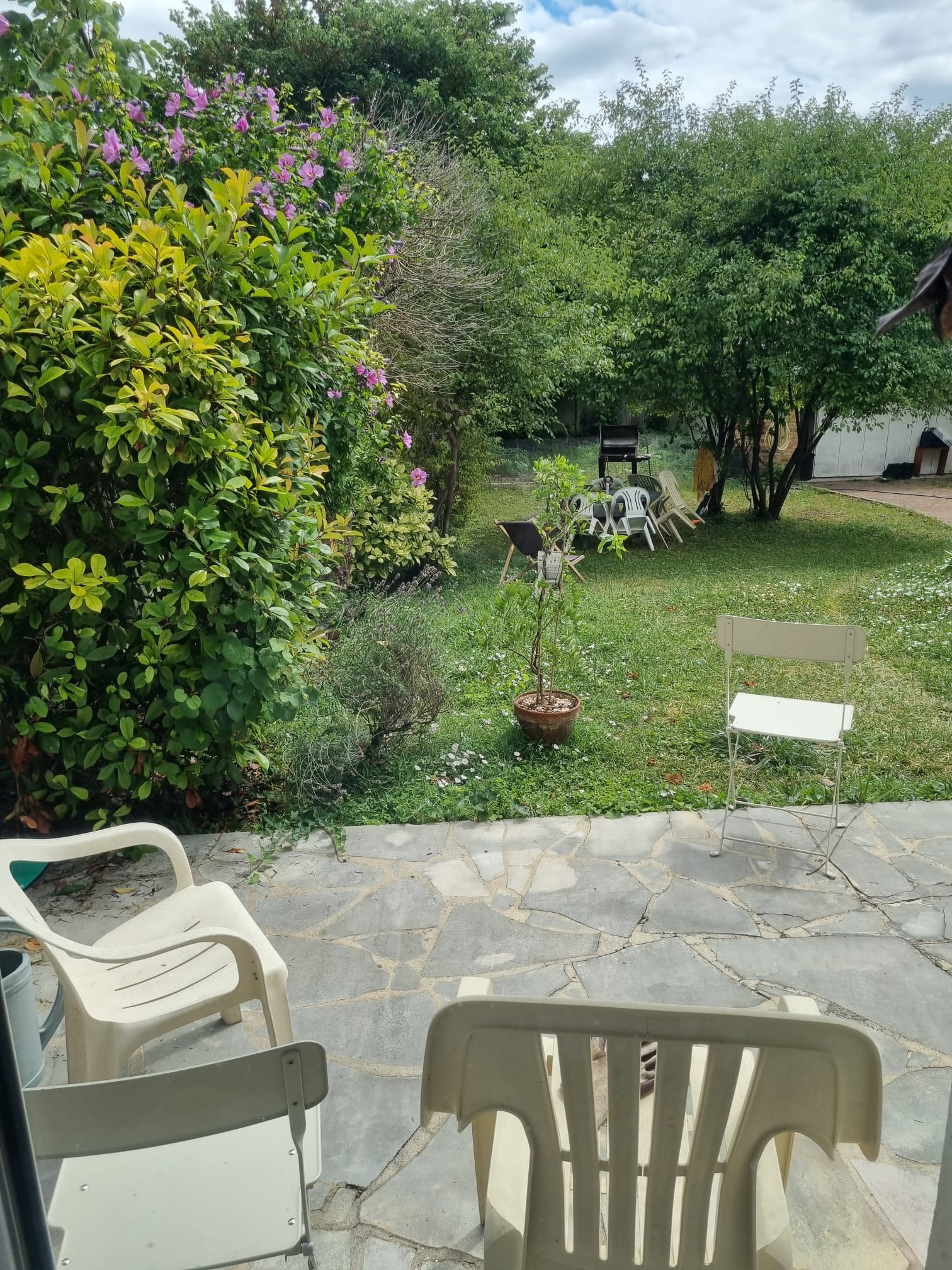 Colocación Carrières-sur-Seine 404750
