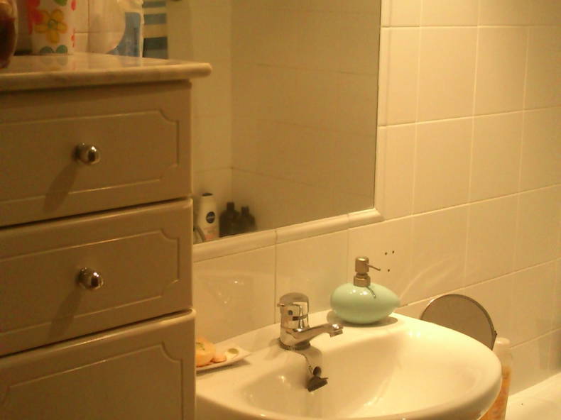 Kolokasie Madrid 106552-4