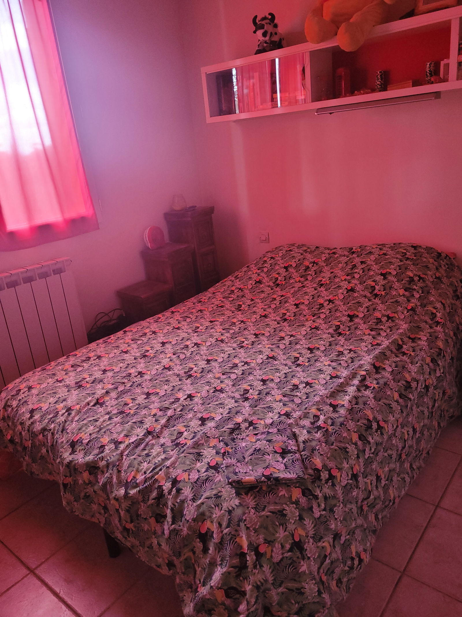 Quedarse En Casa La Calmette 381169