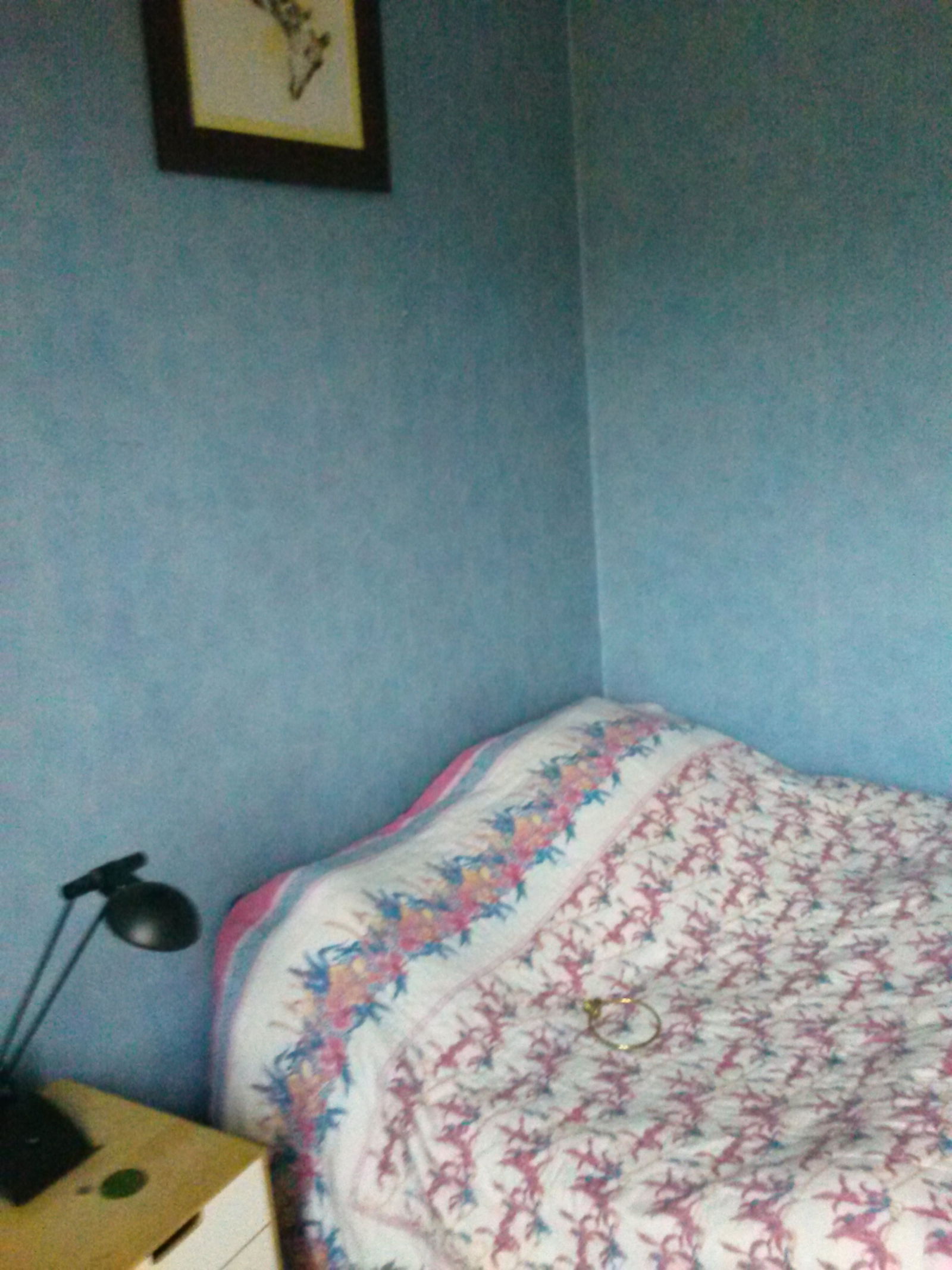 Quedarse En Casa Palaiseau 118315