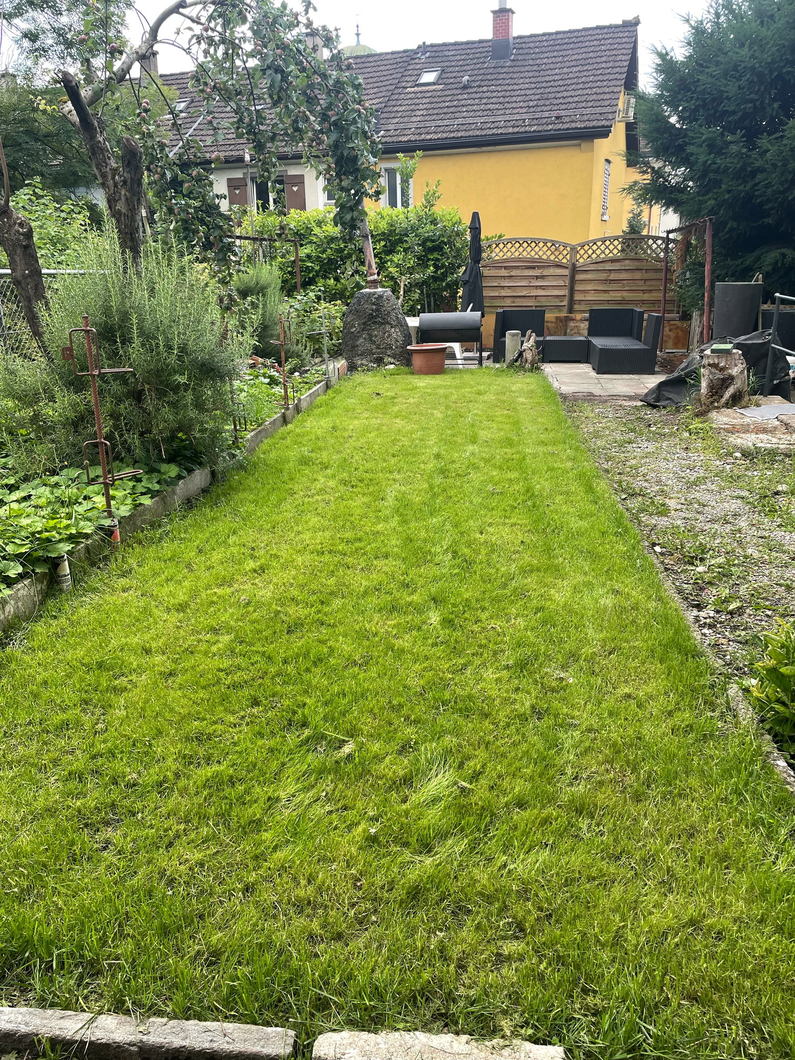 Colocación Zürich 659006