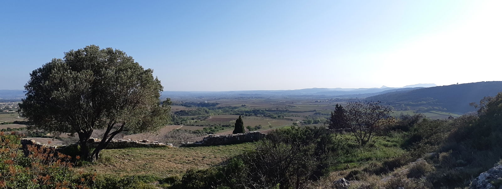 Quedarse En Casa Arboras 252245