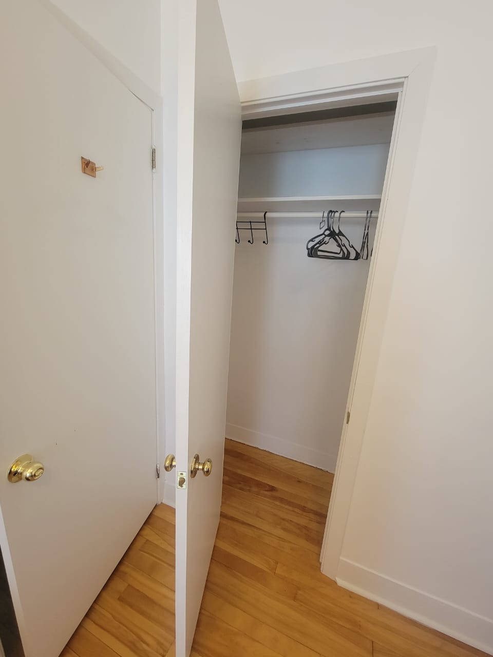 Colocación Québec 259722