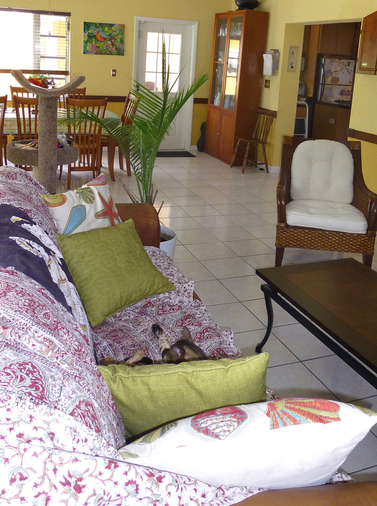 Quedarse En Casa Miami 90962