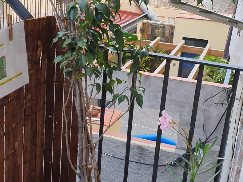 Gastfamilie Barcelona 241631-4