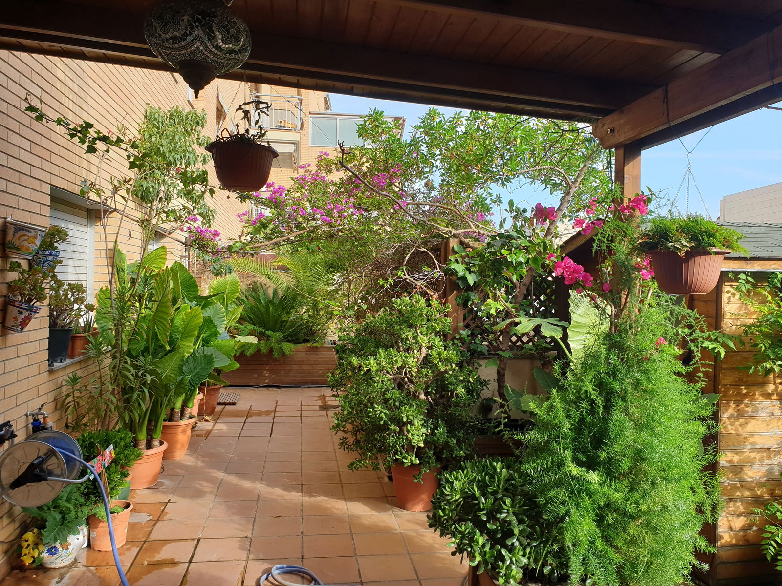 Homestay Viladecans 131873