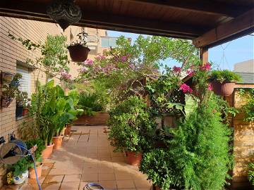 Homestay Viladecans 131873-7