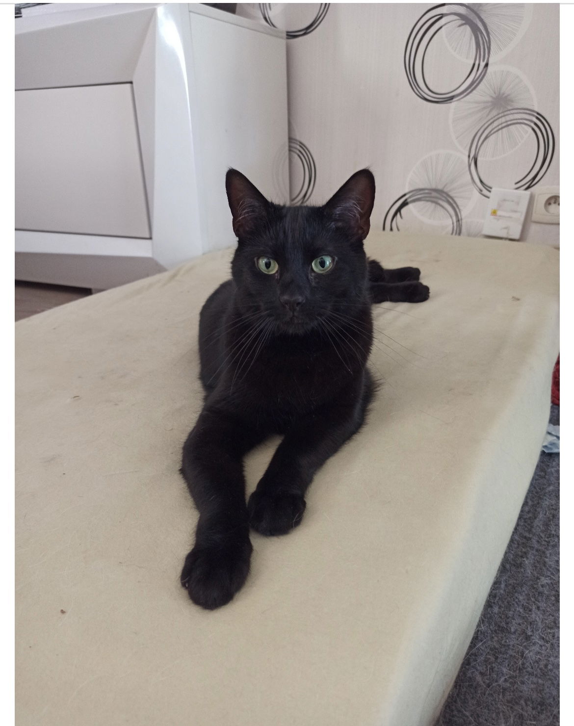 Quedarse En Casa Bourges 307586