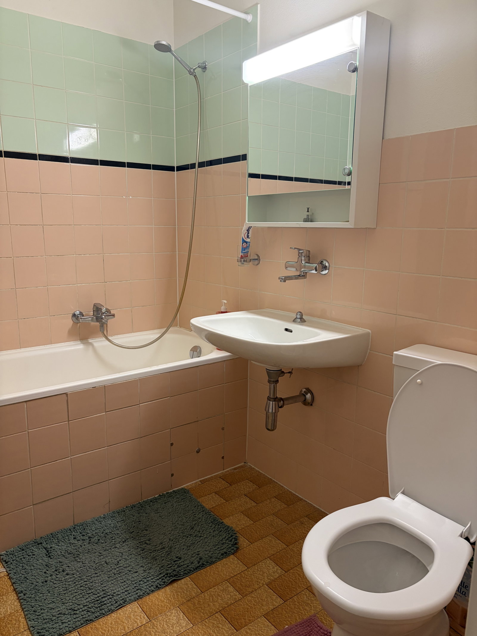 Habitación En Casa Del Anfitrión Versoix 675135
