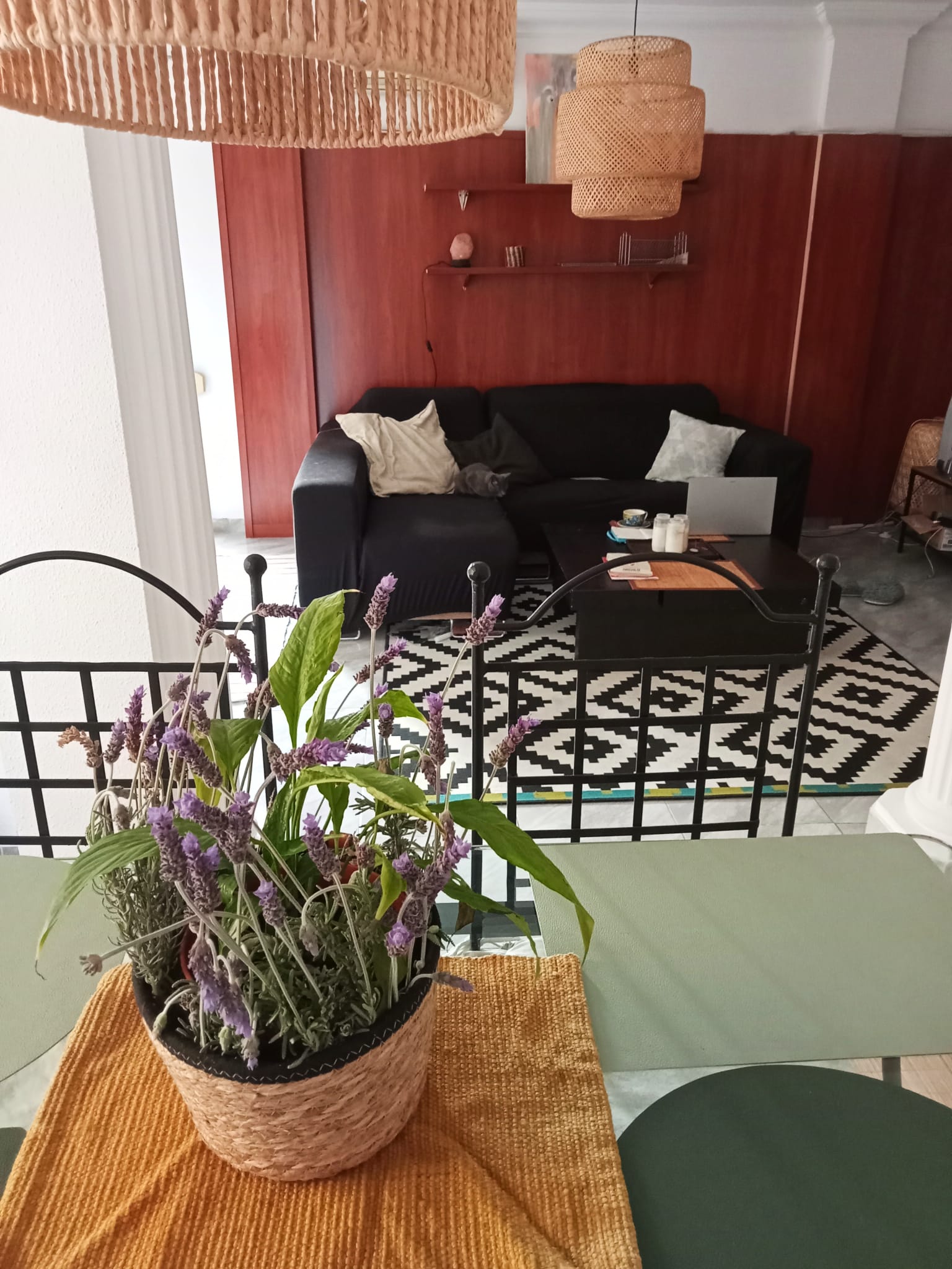 Hemvistelse Palma 353478