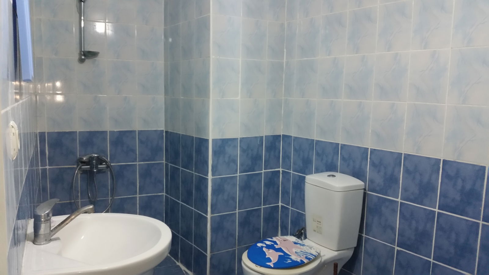 Colocación Şişli 264720