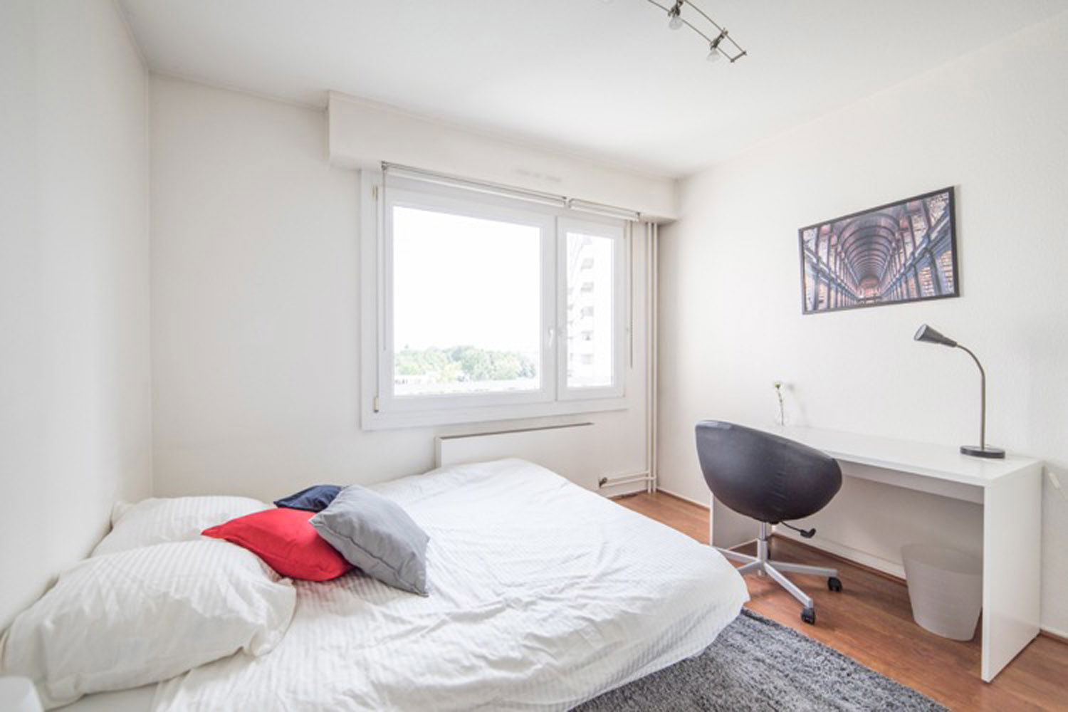 Colocación Strasbourg 264688