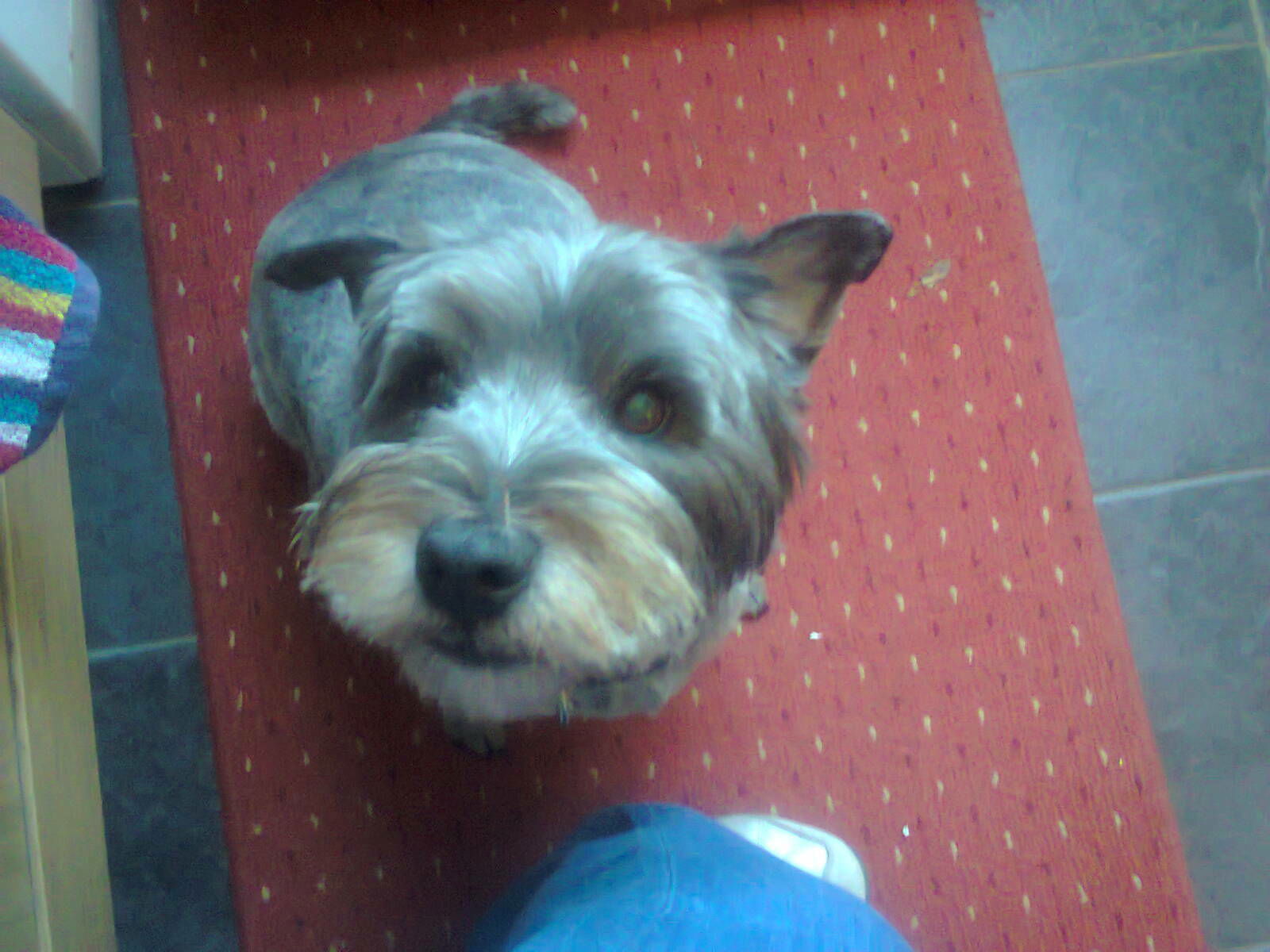 Quedarse En Casa Saffron Walden 166416