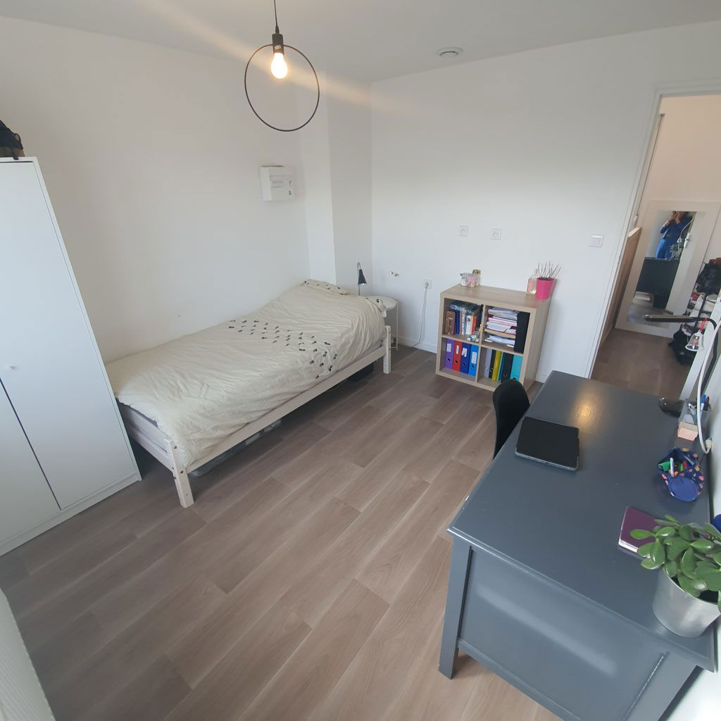 Colocación Loos 656180