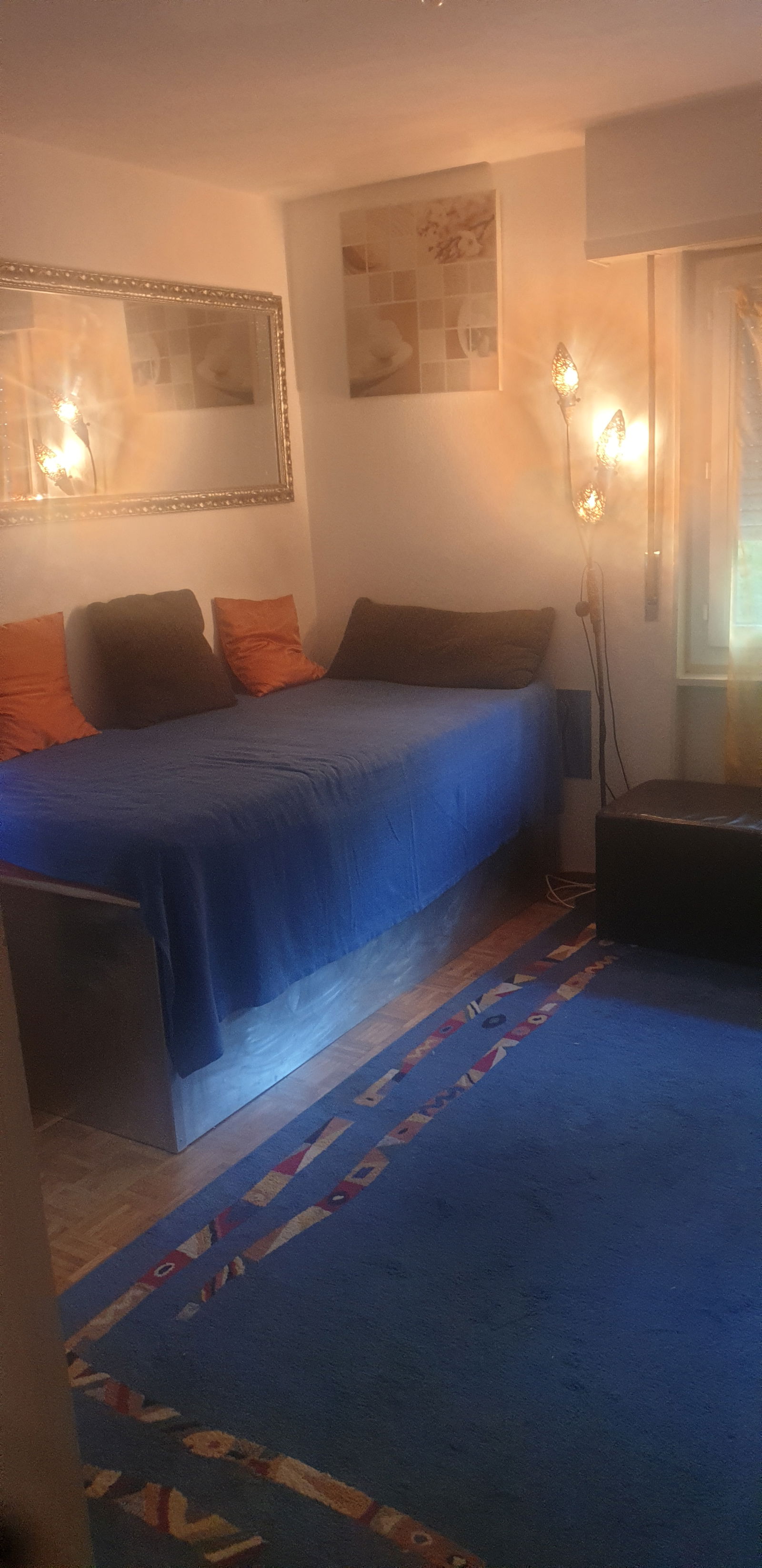 Colocación Lausanne 317231