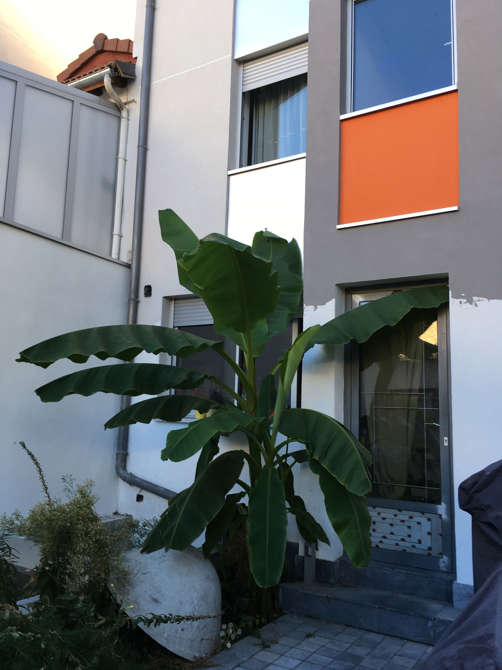 Quedarse En Casa Boulogne-Billancourt 250097