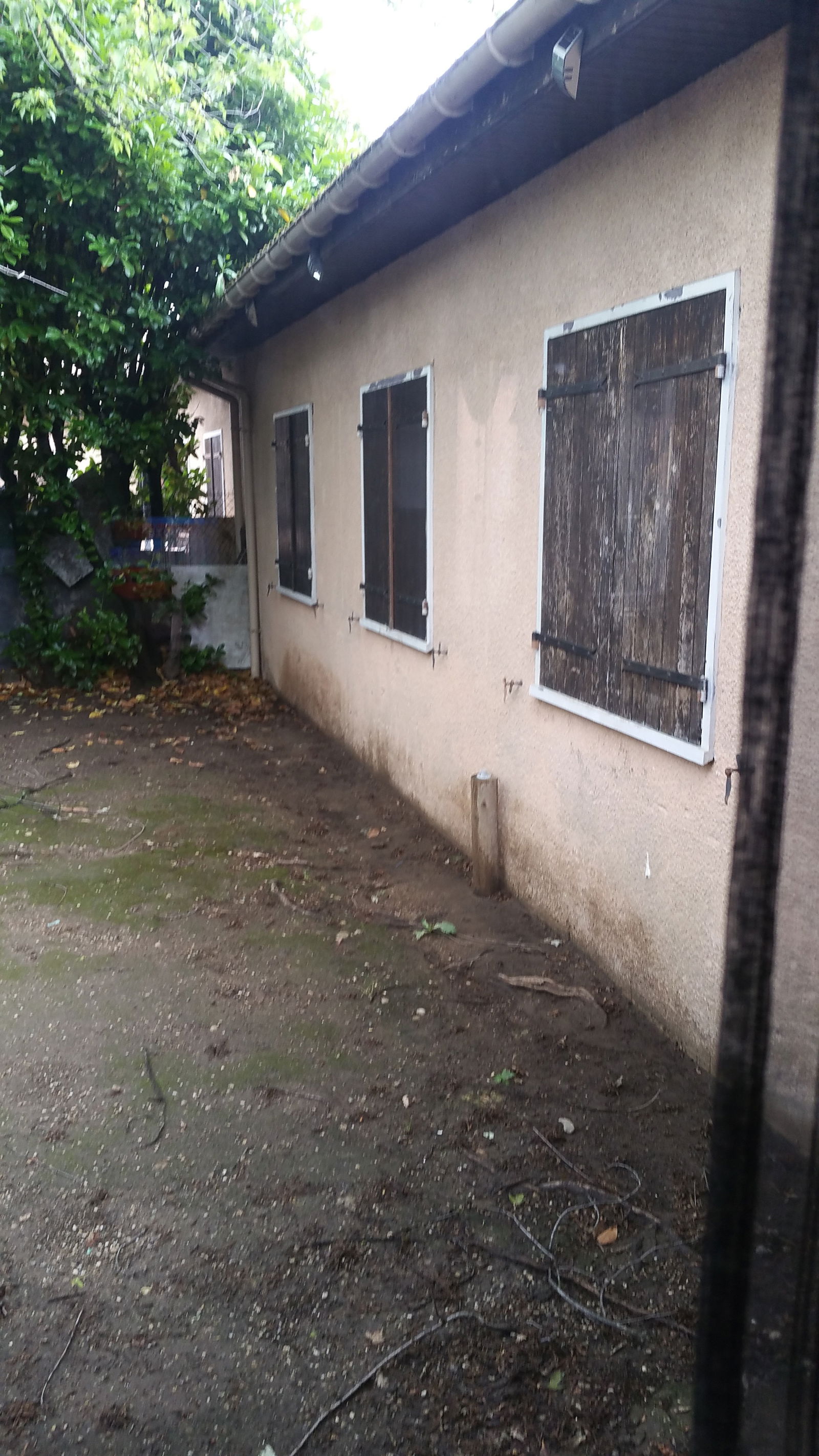Estudio Independiente Mions 224701