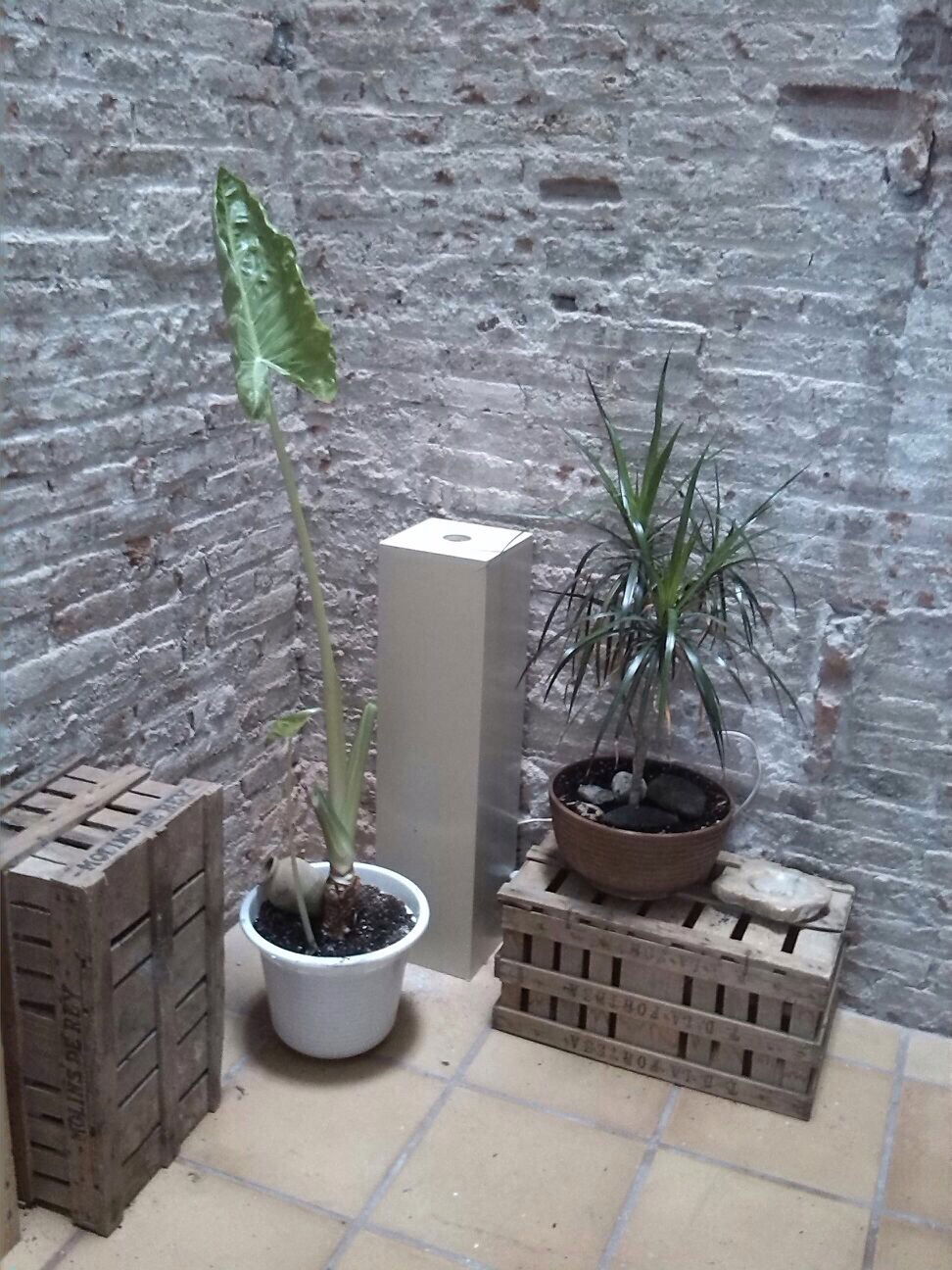 Quedarse En Casa Barcelona 112679