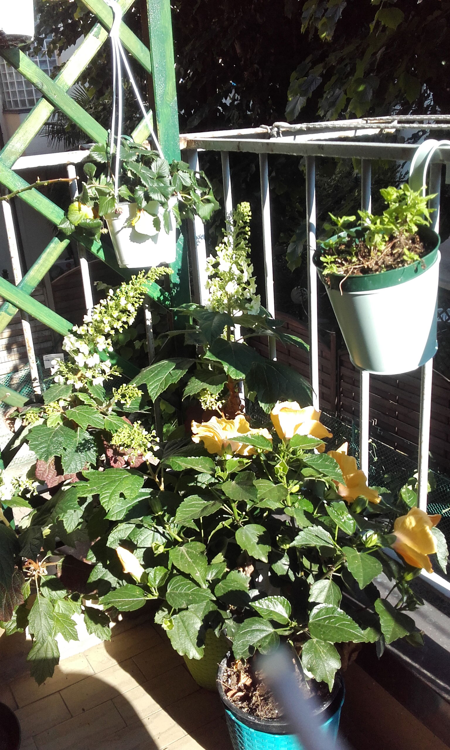 Habitaciones De Huéspedes Bologna 522615