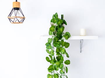 Chambres D'hôtes Torremolinos 458497-17