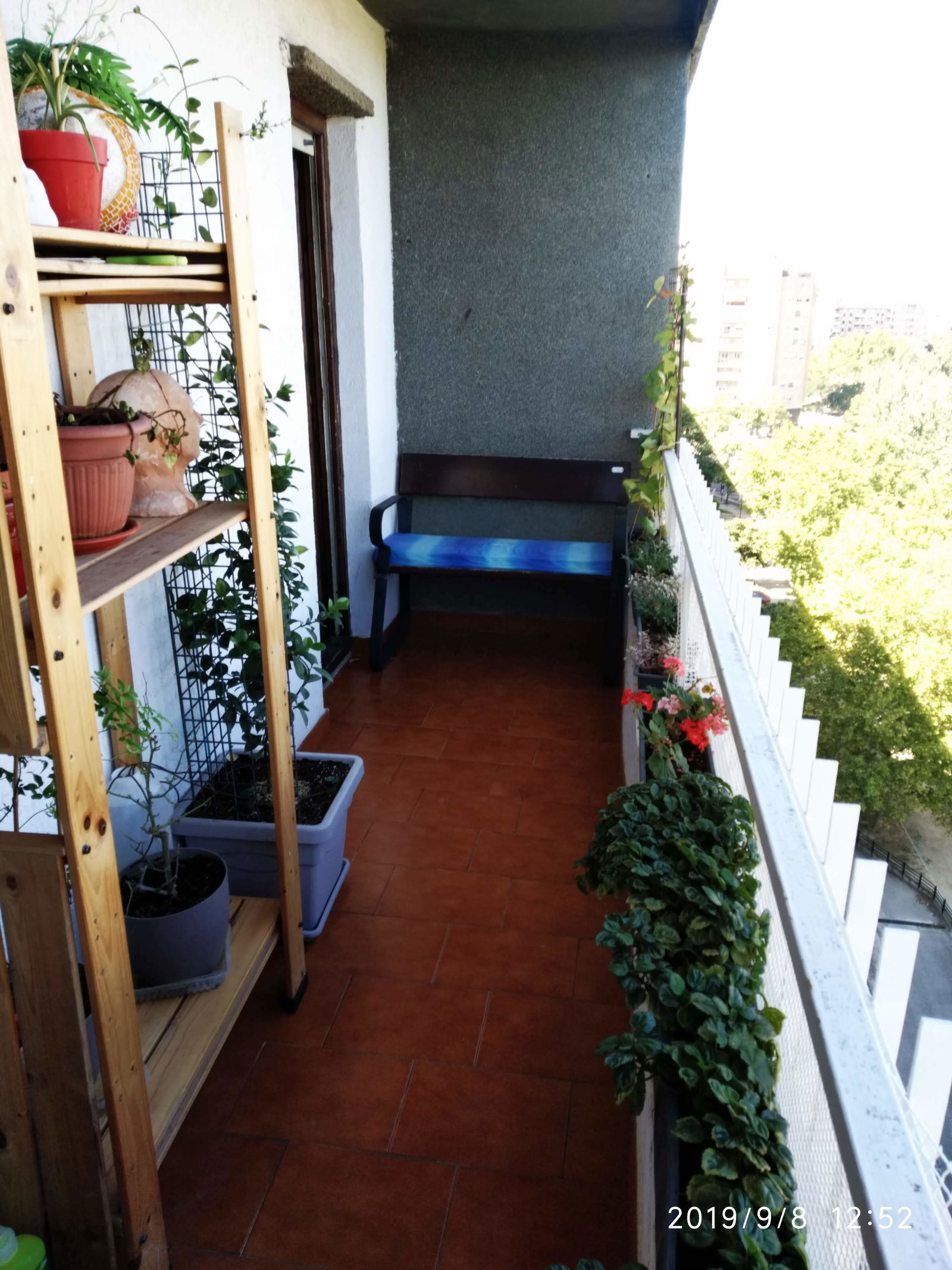Homestay Zaragoza 205079
