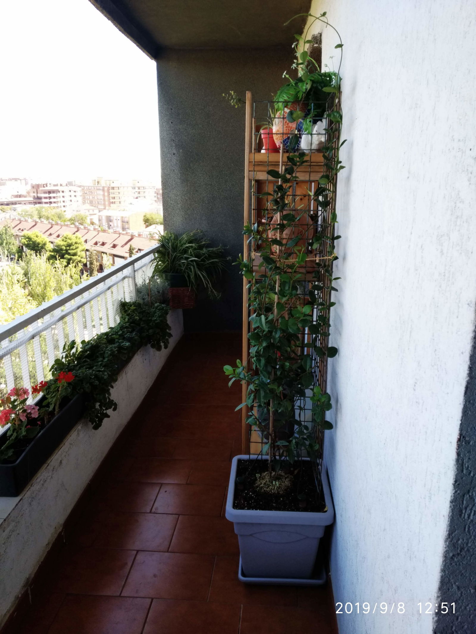 Homestay Zaragoza 205079