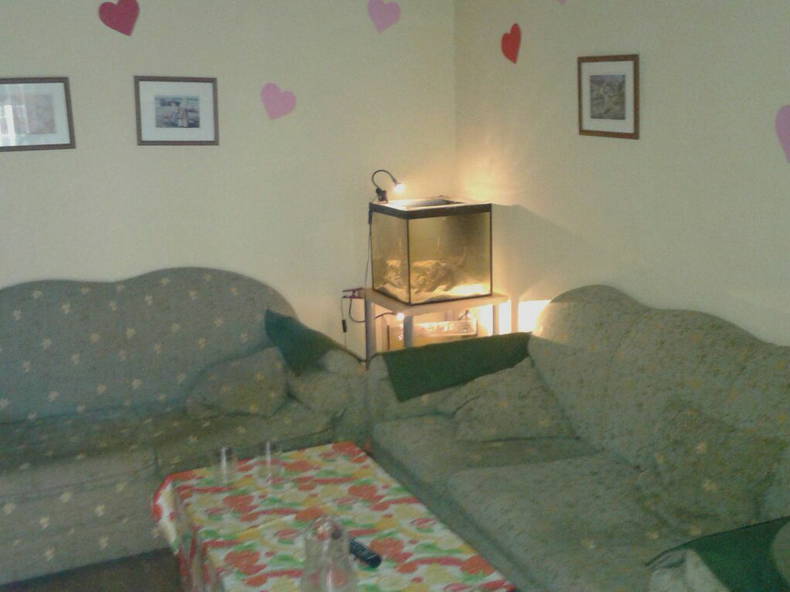 Colocation Madrid 110944-4