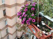 Colocation Barcelona 265314-8