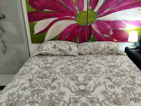 ROOM NEAR ALZIRA HOSPITAL