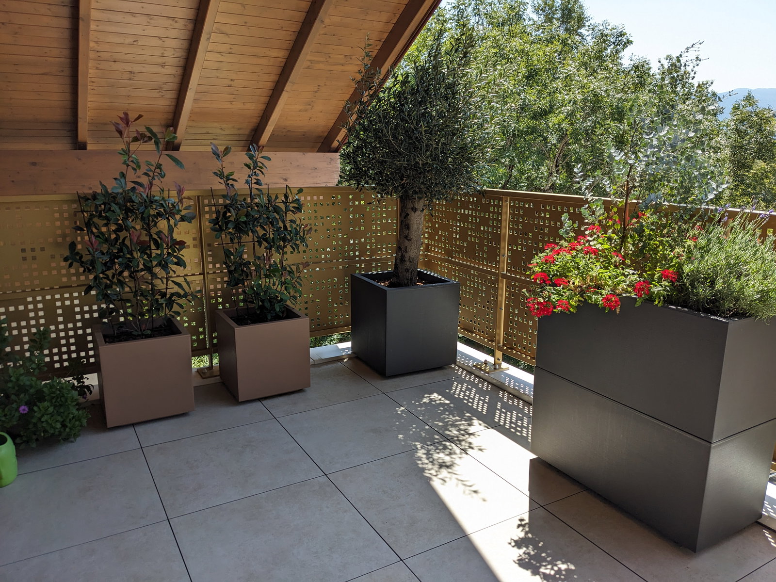 Quedarse En Casa Poisy 623403