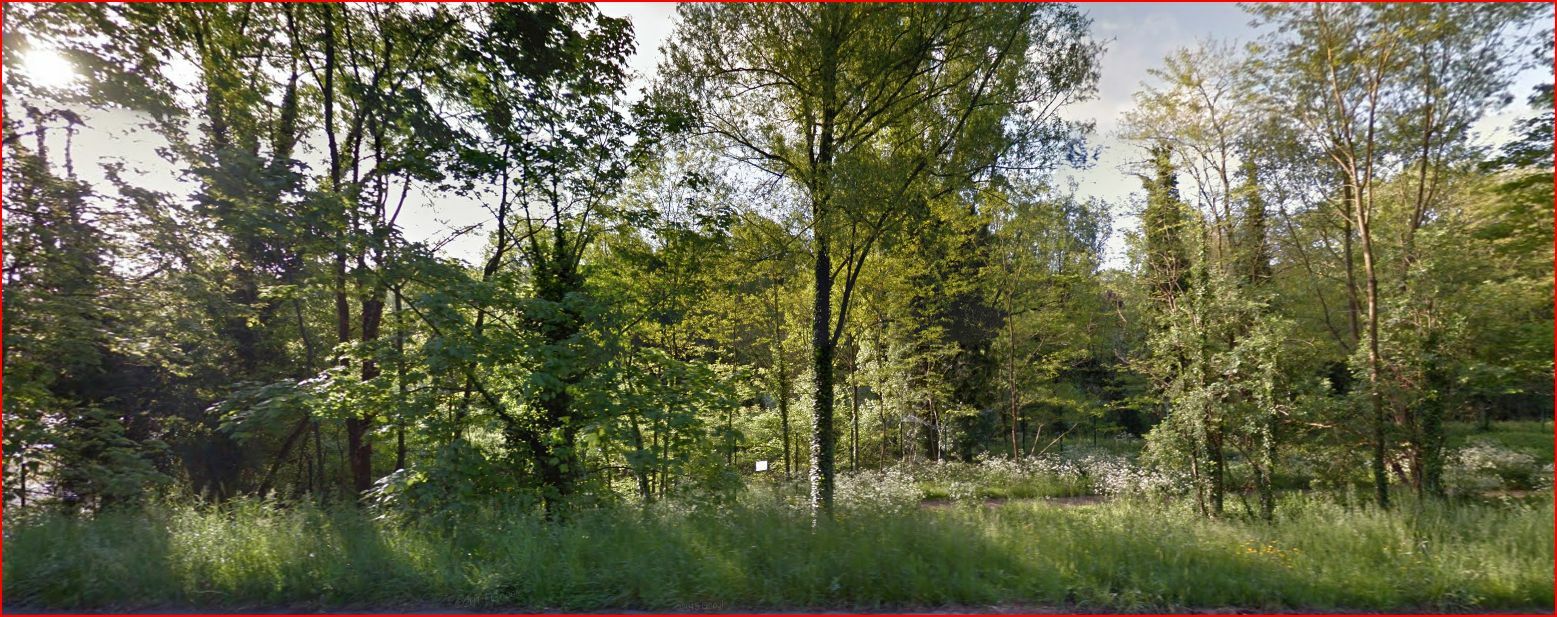 Colocación Massy 190239