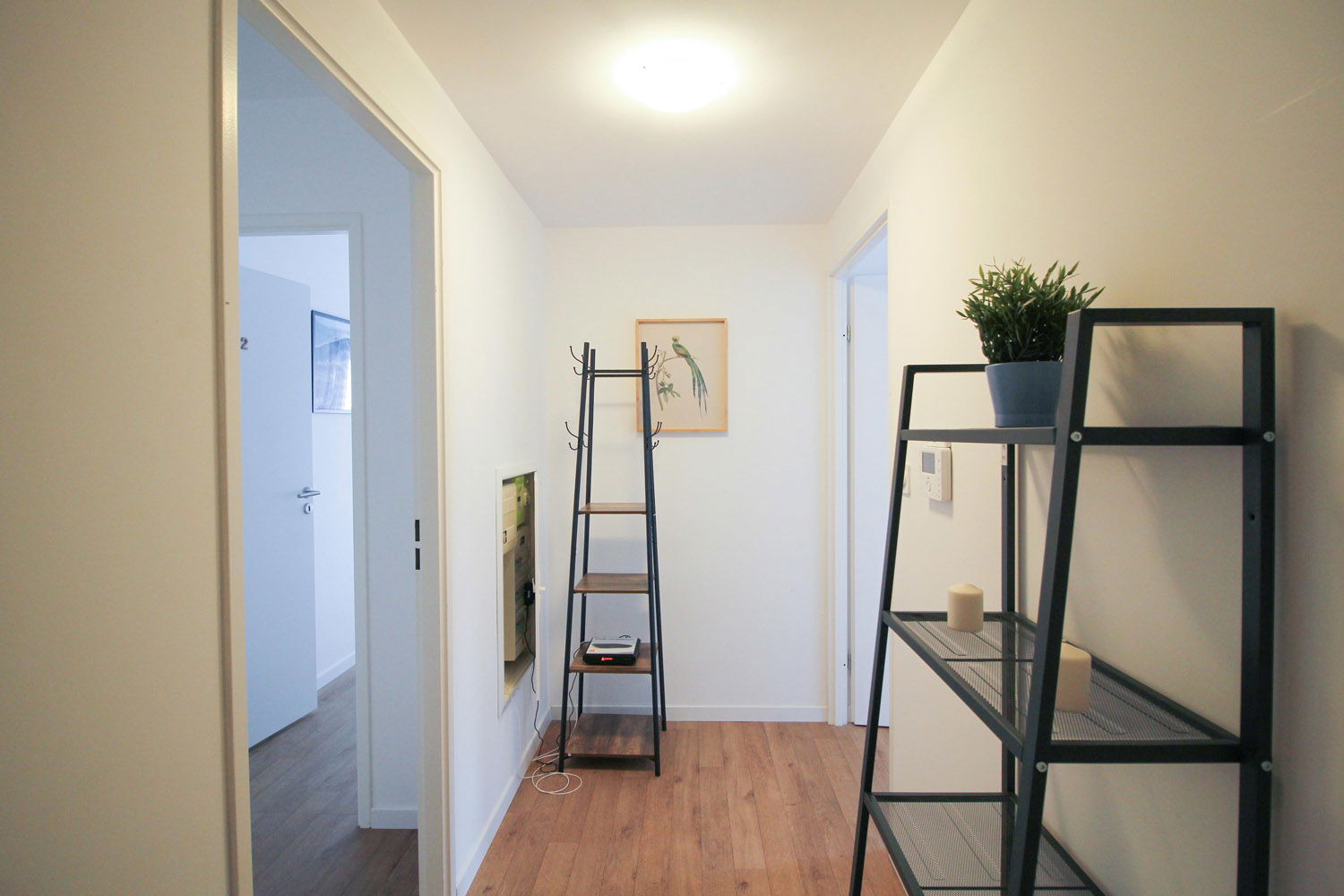 Colocación Clichy 264923