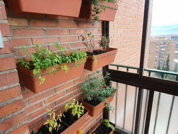 Chambre Chez L'habitant Granada 247685-10